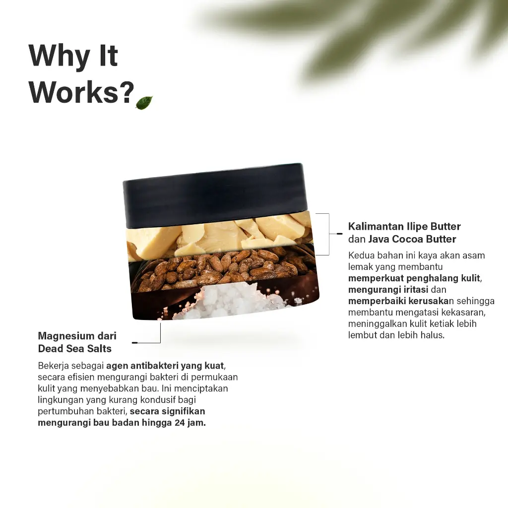 Artboard 4.webp